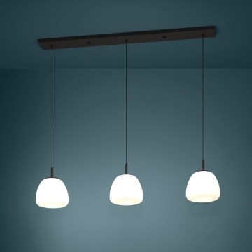 Eglo - Luster na sajli 3xE27/40W/230V crno