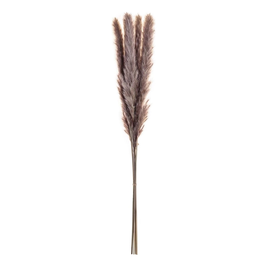 Eglo - Osušeni cvet 60 cm ljubičasta