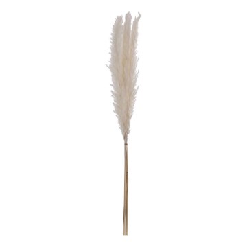 Eglo - Osušeni cvet 70 cm bela