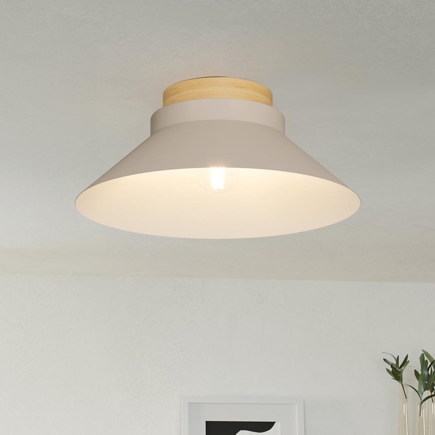 Eglo - Plafonjera 1xE27/40W/230V