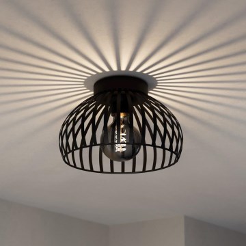Eglo - Plafonjera 1xE27/40W/230V pr. 28 cm