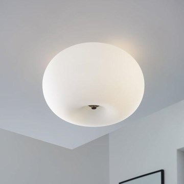 EGLO - Plafonjera OPTICA 2xE27/60W