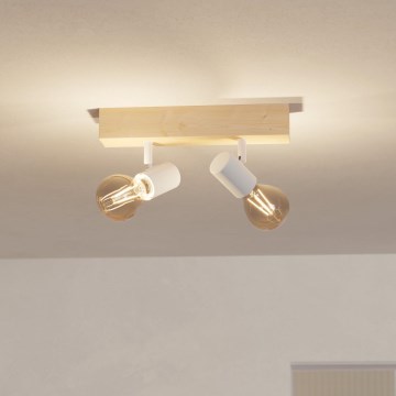 Eglo - Plafonjera TOWNSHEND 2xE27/60W/230V