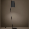 Eglo - Podna lampa 1xE27/40W/230V crno