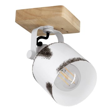 Eglo - Reflektorska lampa 1xE27/40W/230V