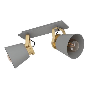 Eglo - Reflektorska lampa 2xE27/40W/230V