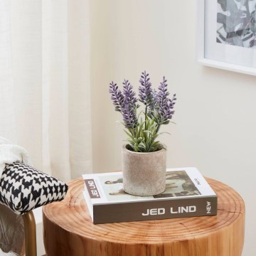 Eglo - Veštačka biljka u tegli za cveće 22x8 cm lavanda