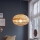 Eglo - Viseća lampa 1xE27/60W