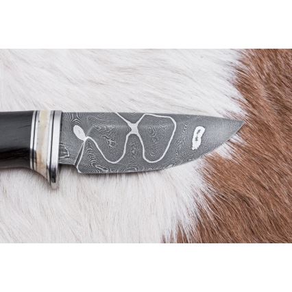 Ekskluzivni damaščanski nož 8,6 cm hrast/velbludova kost