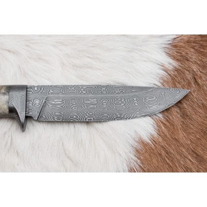 Ekskluzivni damask nož 13 cm kesten