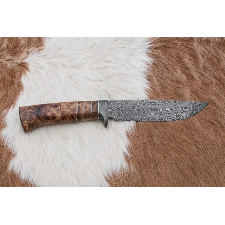 Ekskluzivni damask nož 14,4 cm kesten/mamutov zub