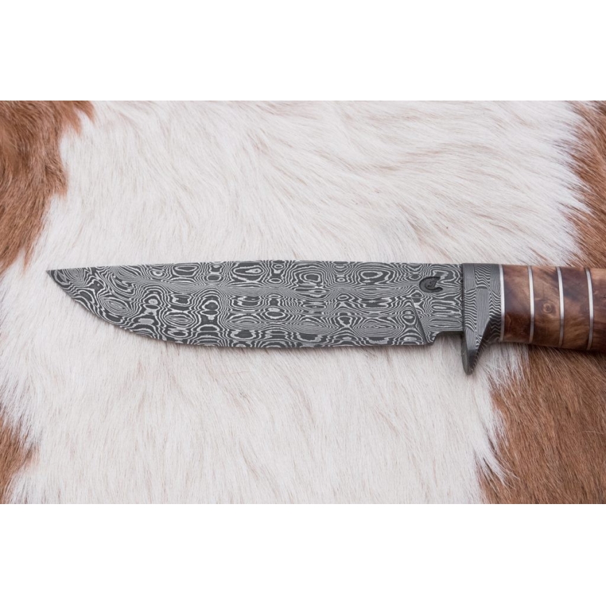 Ekskluzivni damask nož 14,4 cm kesten/mamutov zub