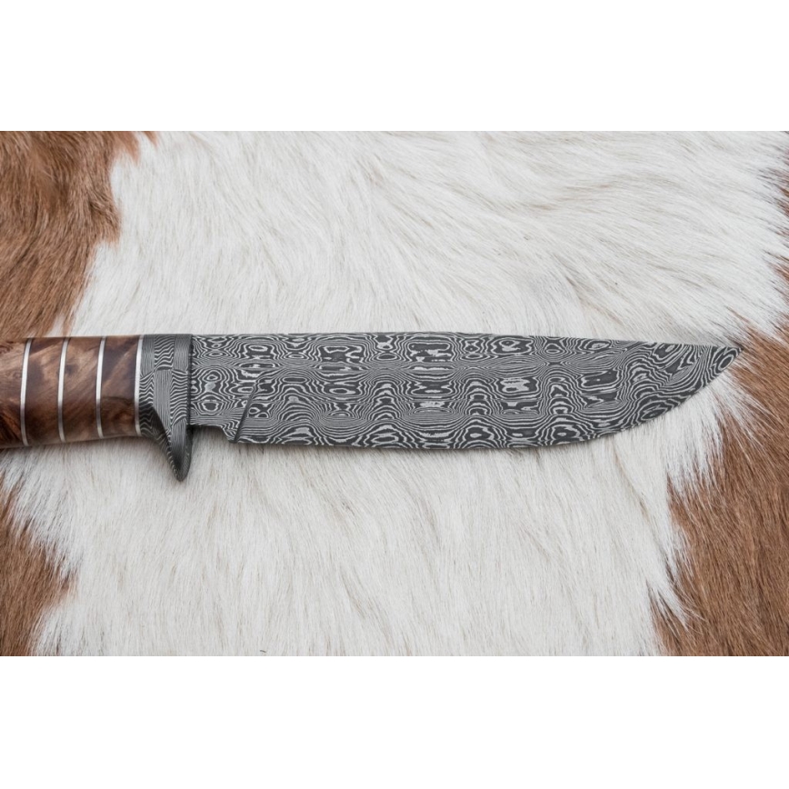 Ekskluzivni damask nož 14,4 cm kesten/mamutov zub
