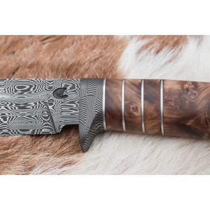 Ekskluzivni damask nož 14,4 cm kesten/mamutov zub