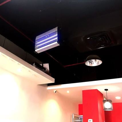 Električni lapač insekata 2x10W/230V — za prostor do 80 m²