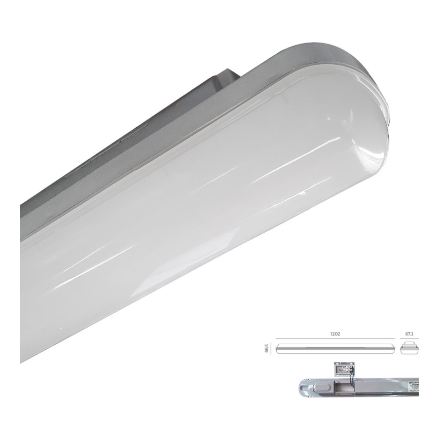 Emithor 31602 - LED Radna baterijska lampa ELMINA LED/36W/230V IP65