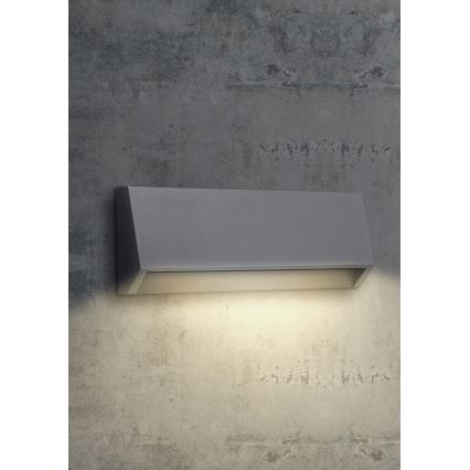 EMITHOR 48330 - LED Spoljna zidna lampa RADIX LED/2,9W/230V IP65