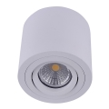 Emithor 48606 - Reflektorska plafonjera SURFACE 1xGU10/50W/230V bela okruglo