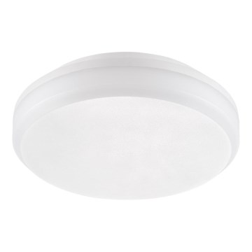 Emithor 63207 - LED Plafonjera za kupatilo SURFACE 1xLED/30W/230V IP65