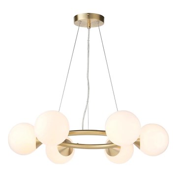 Endon 106390 - Luster na sajli OTIS 6xG9/3W/230V zlatni