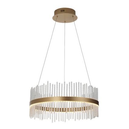 Endon 107671 - LED Prigušivi luster na sajli ADRIEL LED/41W/230V 3000K pr. 51 cm zlatna/prozirna