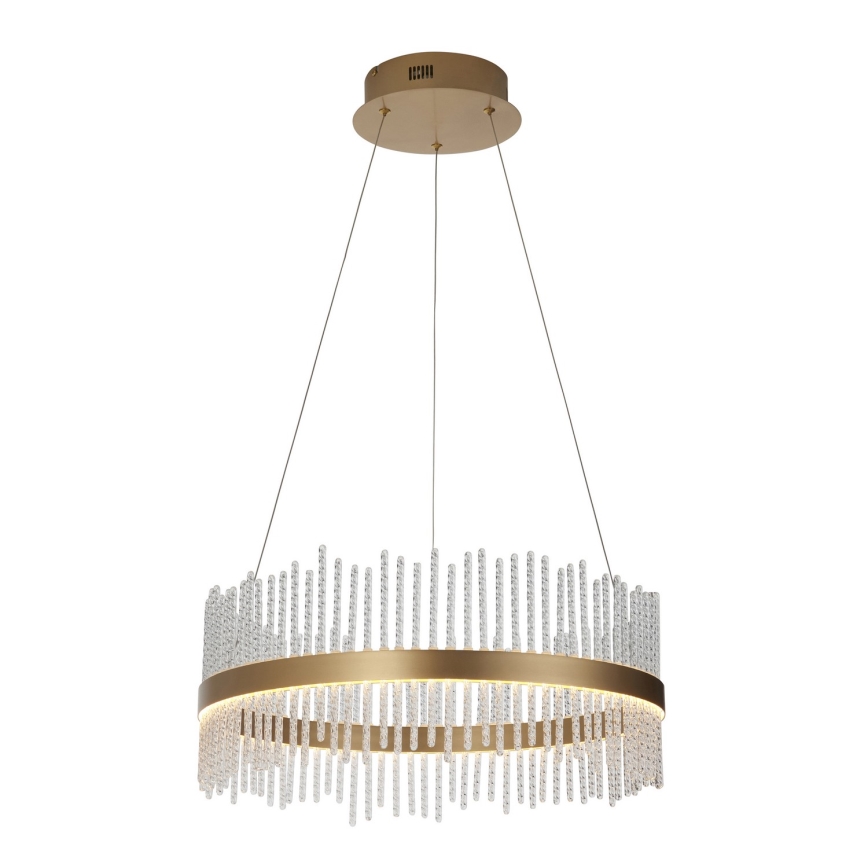 Endon 107671 - LED Prigušivi luster na sajli ADRIEL LED/41W/230V 3000K pr. 51 cm zlatna/prozirna