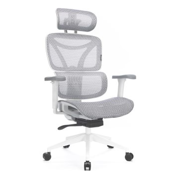 Ergonomska kancelarijska stolica LEVANO siva/bela/crna