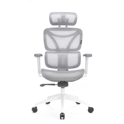 Ergonomska kancelarijska stolica LEVANO siva/bela/crna