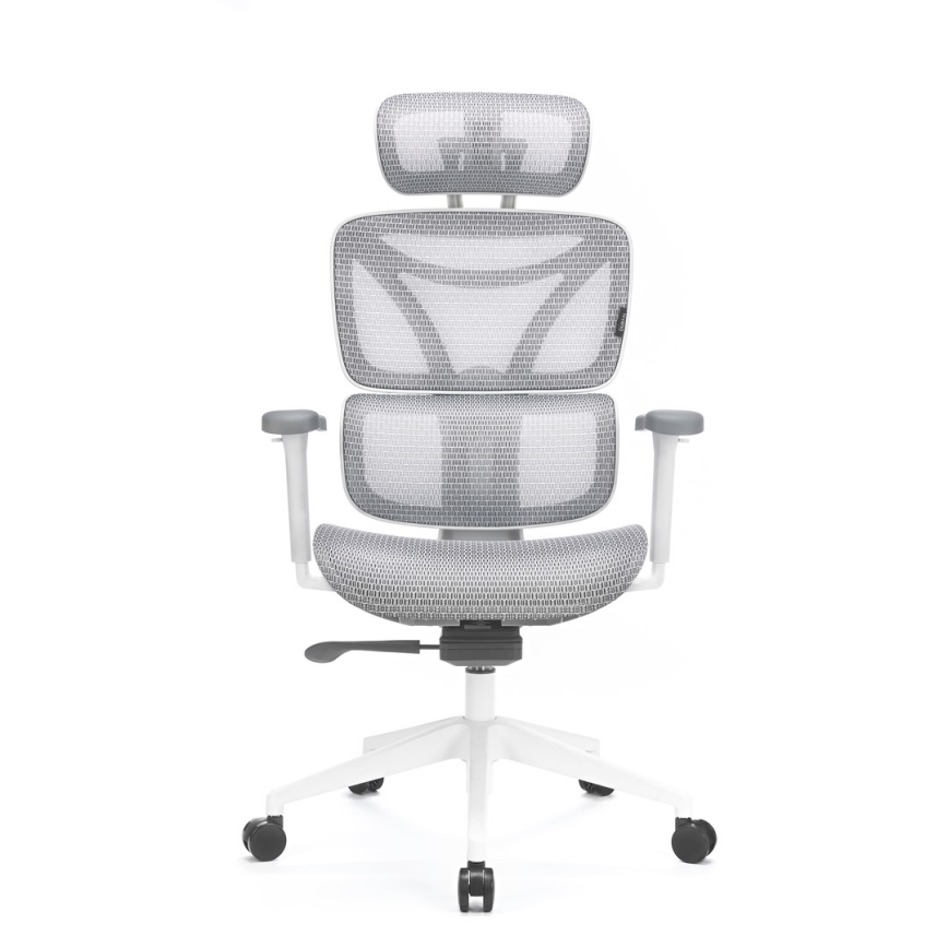 Ergonomska kancelarijska stolica LEVANO siva/bela/crna