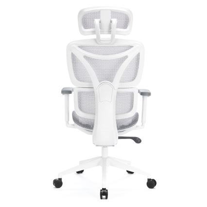 Ergonomska kancelarijska stolica LEVANO siva/bela/crna