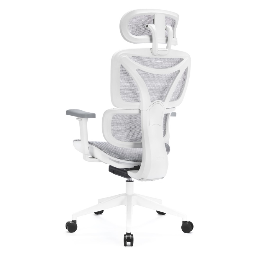 Ergonomska kancelarijska stolica LEVANO siva/bela/crna