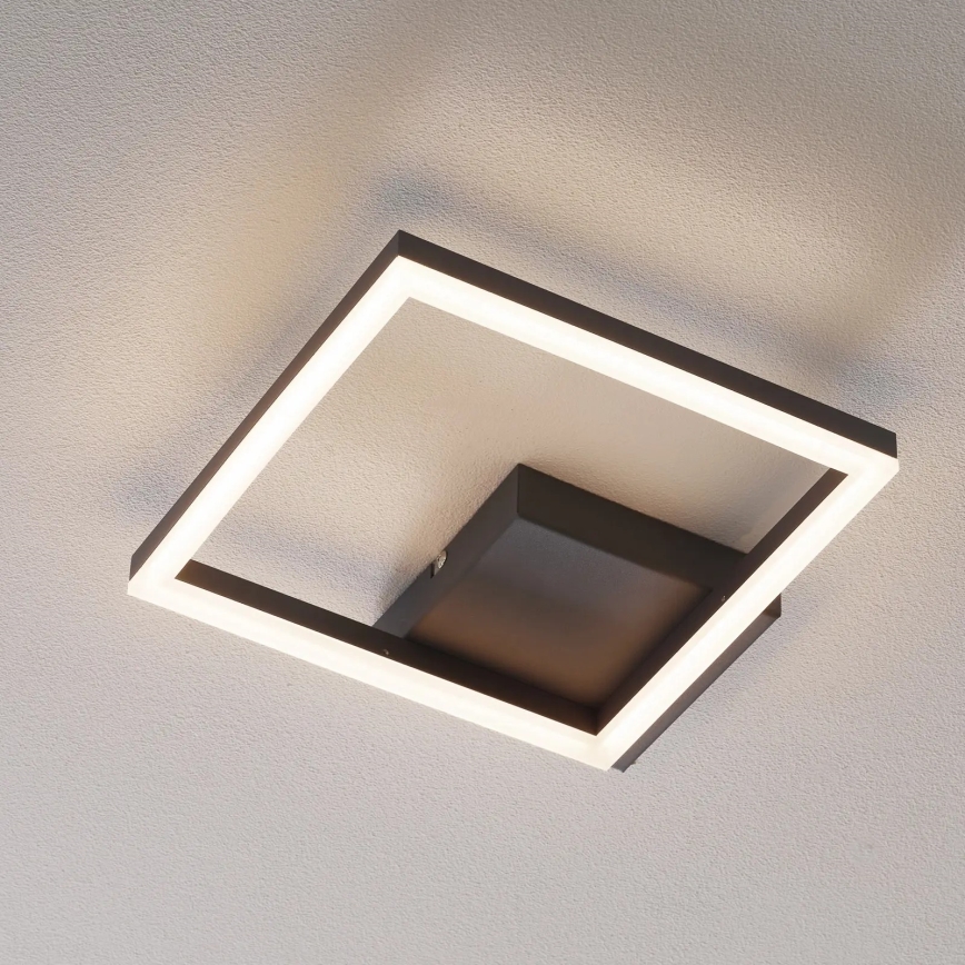 Fabas Luce 3394-21-282 - LED Prigušiva plafonjera BARD LED/22W/230V 3000K antracit