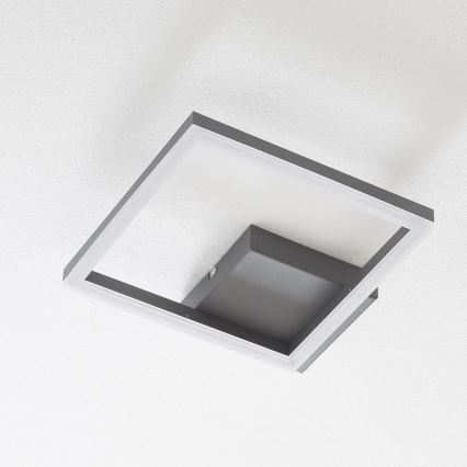 Fabas Luce 3394-21-282 - LED Prigušiva plafonjera BARD LED/22W/230V 3000K antracit