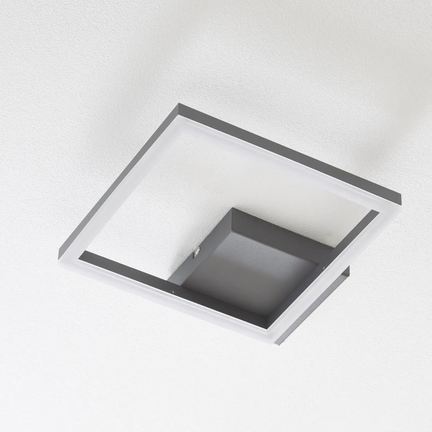 Fabas Luce 3394-21-282 - LED Prigušiva plafonjera BARD LED/22W/230V 3000K antracit