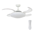 FANAWAY 212980 - Plafonski ventilator EVORA 2xE27/15W/230V bela + daljinski upravljač