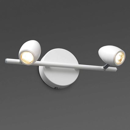 FARO 41121 - LED Reflektorska lampa ANTILA 2xLED/12W/230V