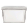 FARO 62983 - Plafonsko svetlo za kupatilo TOLA 1 1xE27/20W/230V IP44