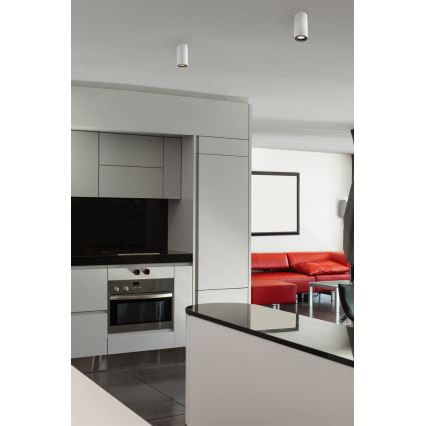 FARO 64190 - Reflektorska lampa NAN 1xGU10/50W/230V
