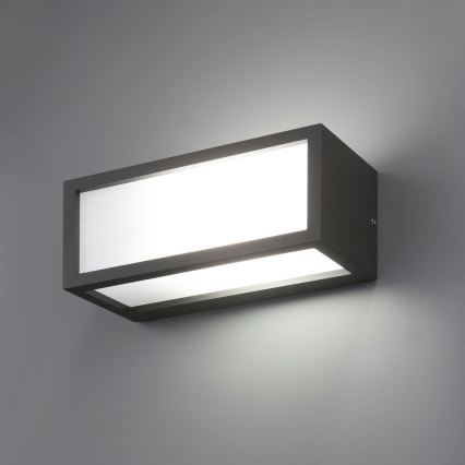 FARO 70573 - Spoljašnja zidna lampa TEJO 1xE27/20W/230V IP54