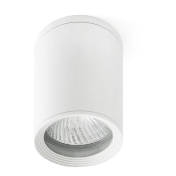 FARO 70821 - Spoljašnja reflektorska lampa TASA 1xE27/15W/230V IP44