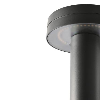 FARO 71948 - LED Spoljna lampa ESPOT LED/9W/230V 2200/2700/3200/4000K IK07 IP65 60 cm antracit