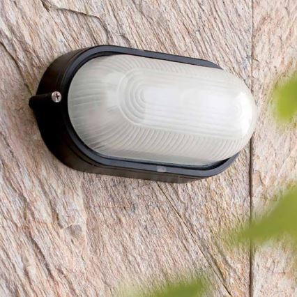 FARO 72001 - Spoljašnja zidna lampa DERBY-P 1xE27/60W/230V IP44