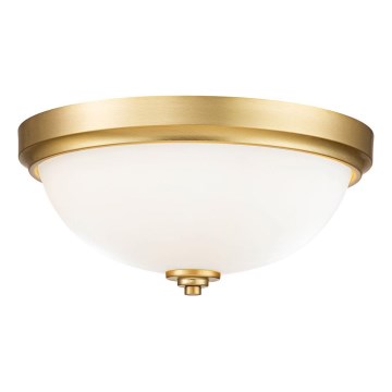 Feiss - Plafonjera za kupatilo MALIBU 2xE27/60W/230V IP44
