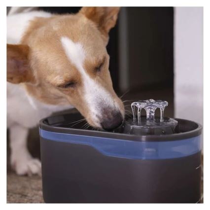 Filteri za fontanu PET-902 4 kom