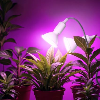 Fleksibilna stona lampa sa klipsom za uzgoj biljaka PLANTY 2xE27/30W/230V bela