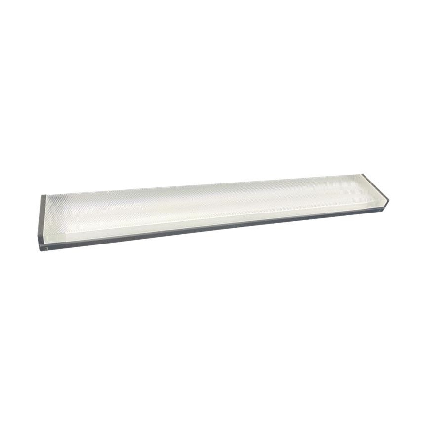 Fluorescentna lampa 2xG13/18W/230V 124 cm