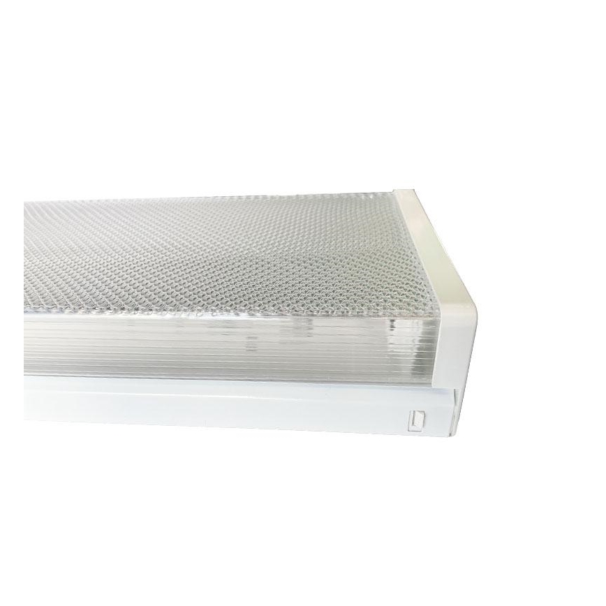 Fluorescentna lampa 2xG13/18W/230V 124 cm