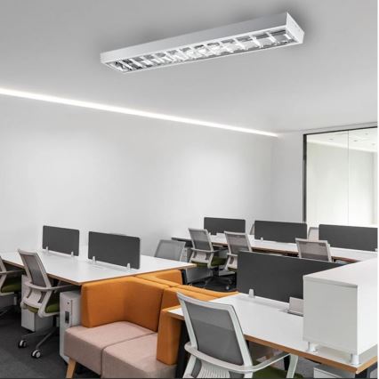 Fluorescentna lampa T8 2xG13/18W/230V 120 cm bela