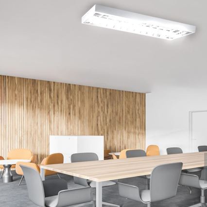 Fluorescentna lampa T8 2xG13/18W/230V 120 cm bela