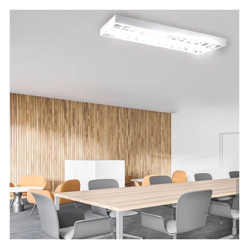 Fluorescentna lampa T8 2xG13/18W/230V 120 cm bela